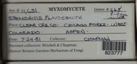 Image Associated With the Occurence